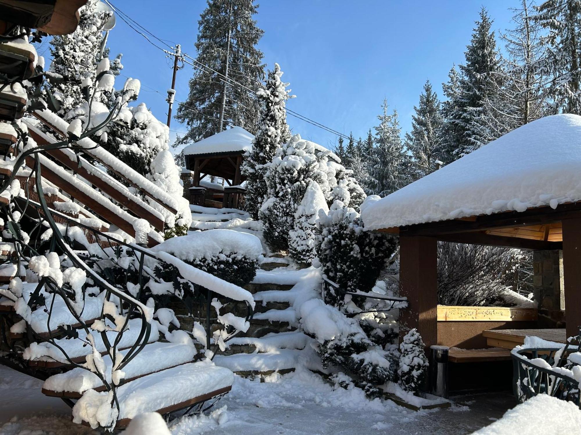 Hotel Любе à Yablunytsya Extérieur photo